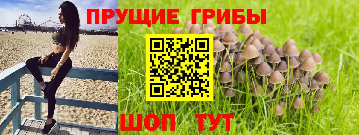 Галлюциногенные грибы Psilocybine cubensis  Галлюциногенные грибы Psilocybe  Грозный  Вход с VPN 